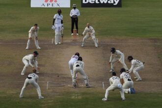 Cricket Fielding Positions