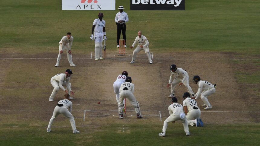 Cricket Fielding Positions