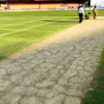 M chinnaswamy stadium pitch report