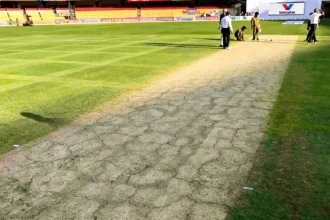 M chinnaswamy stadium pitch report